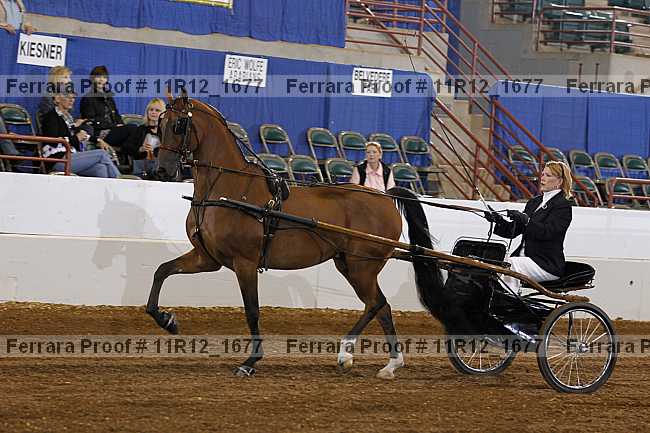 Proof 11r12_1677