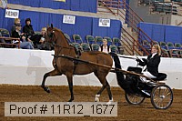 11r12_1677 proof