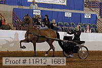 11r12_1683 proof