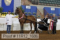 11r12_1686 proof