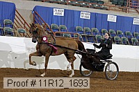 11r12_1693 proof