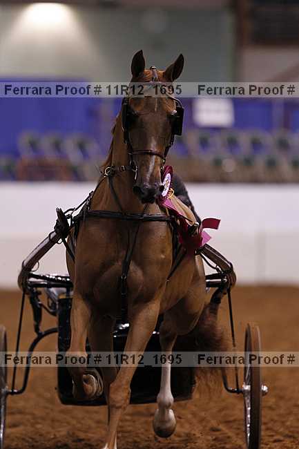 Proof 11r12_1695