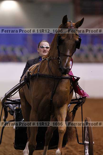 Proof 11r12_1696
