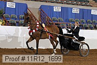 11r12_1699 proof