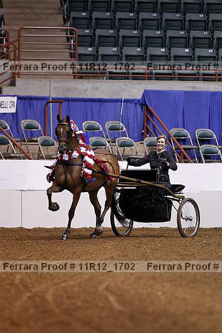 Proof 11r12_1702