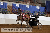 11r12_1703 proof