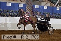 11r12_1705 proof