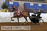 11r12_1706 proof