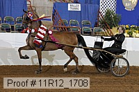 11r12_1708 proof
