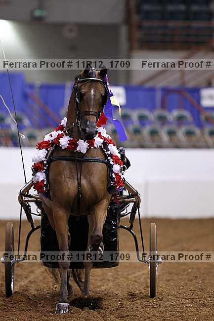 Proof 11r12_1709