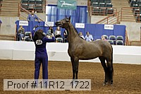 11r12_1722 proof