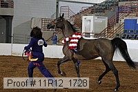 11r12_1728 proof
