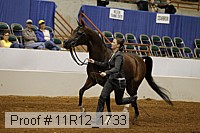 11r12_1733 proof