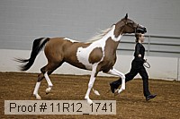 11r12_1741 proof