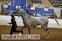 11r12_1749 proof
