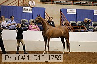 11r12_1759 proof