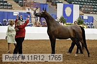 11r12_1765 proof