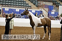 11r12_1772 proof