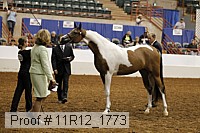 11r12_1773 proof