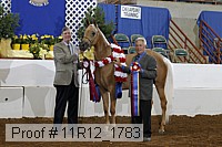 11r12_1783 proof
