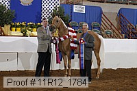 11r12_1784 proof