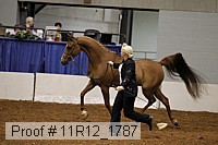 11r12_1787 proof