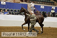 11r12_1790 proof