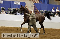 11r12_1791 proof