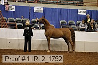 11r12_1792 proof