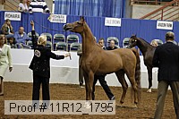 11r12_1795 proof