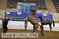 11r12_1796 proof