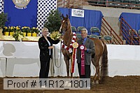 11r12_1801 proof