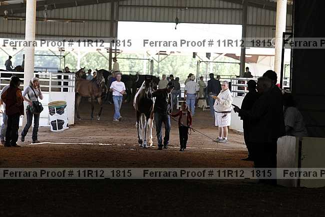 Proof 11r12_1815