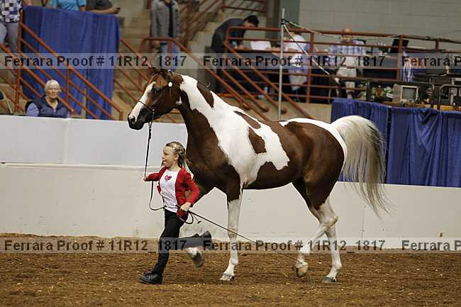Proof 11r12_1817