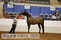 11r12_1833 proof