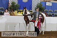 11r12_1841 proof