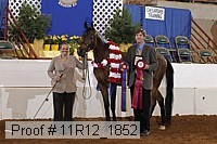 11r12_1852 proof
