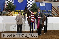 11r12_1853 proof