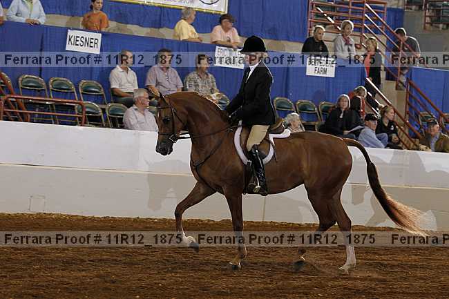 Proof 11r12_1875