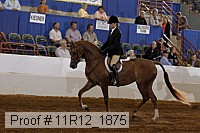 11r12_1875 proof