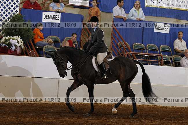 Proof 11r12_1876