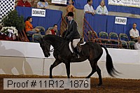 11r12_1876 proof