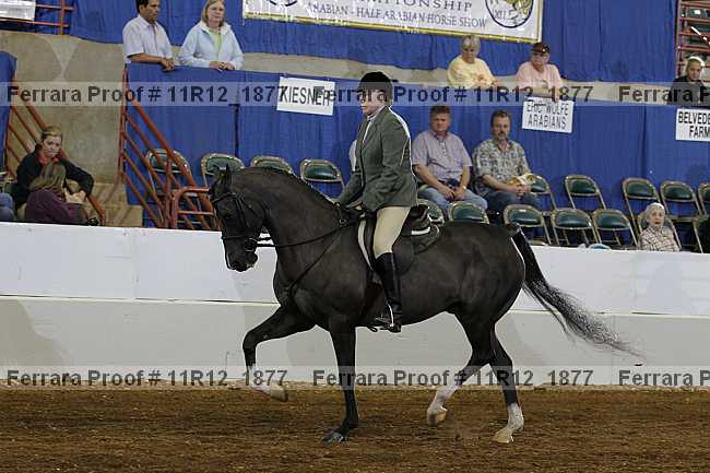 Proof 11r12_1877