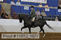 11r12_1877 proof