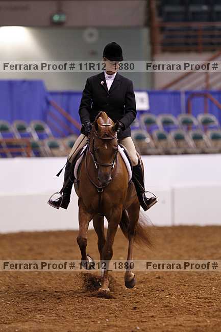 Proof 11r12_1880