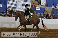 11r12_1883 proof