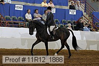 11r12_1888 proof