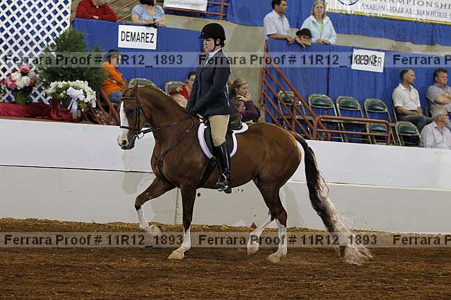 Proof 11r12_1893