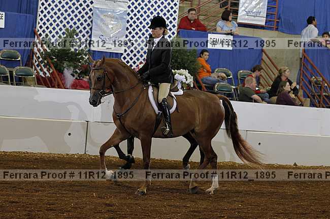 Proof 11r12_1895