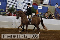 11r12_1895 proof